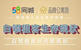 58同城品牌传播项目